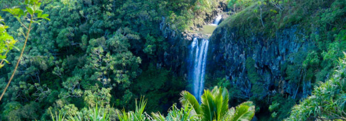 Naturopath Maui HI Maui Retreat