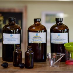 Naturopath Maui HI Tinctures