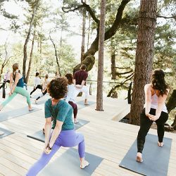Naturopath Maui HI Yoga Outside Naturopath Maui HI Yoga Outside